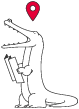 ワニ画像